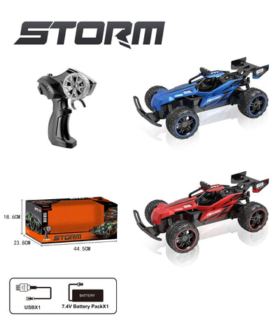 REMOTE CONTROL CAR  USB CHARGER 1:14 2.4G